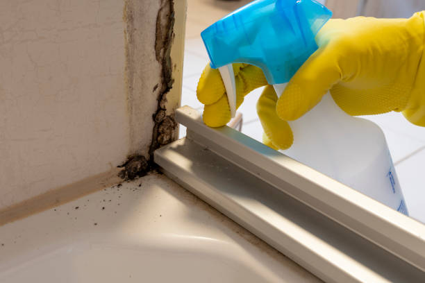 Water Damage Restoration in South River, NJ